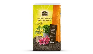 Zum Vergrößern klicken Bildvorschau