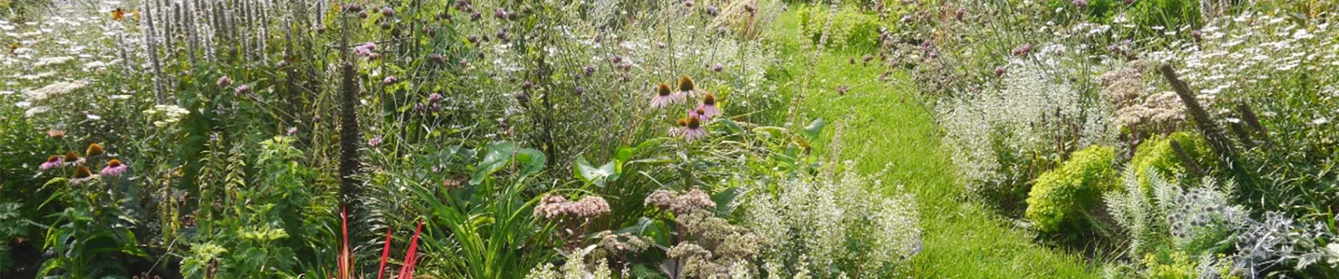 frux Gartenfaser5.jpg