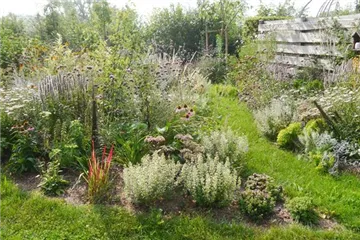 Schimmel in Blumenerde