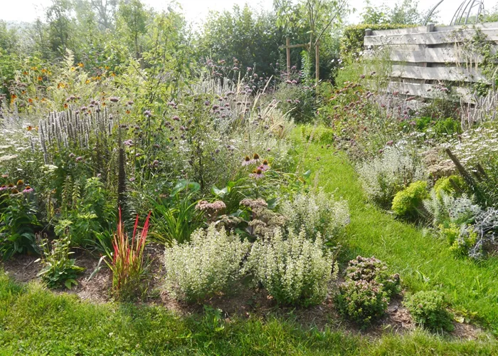 Schimmel in Blumenerde