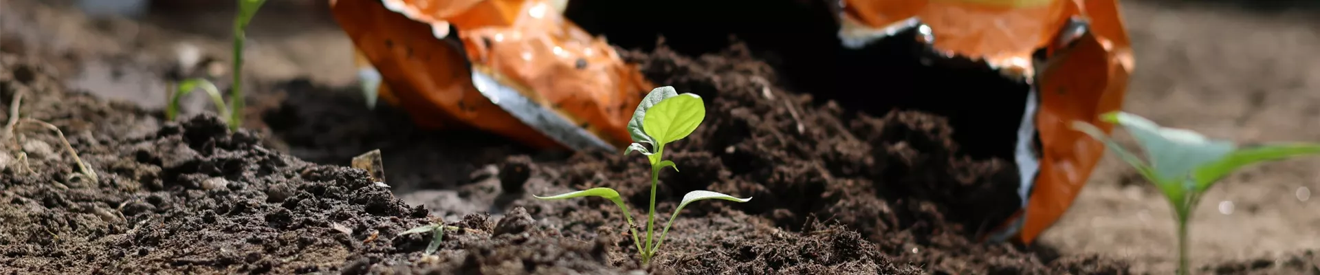 Erde Anwendung 1.jpg