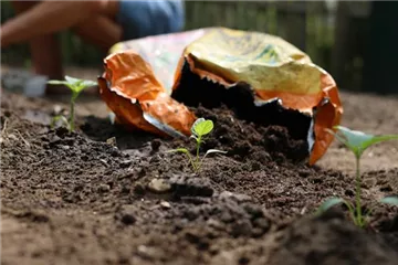  Welche Erde für welche Anwendung