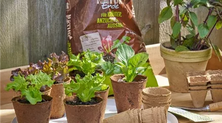 Erde Anwendung 4.jpg