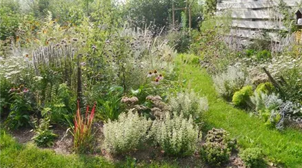 Erde Anwendung 8.jpg