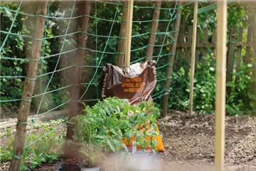 Torffreie Erde im Fokus