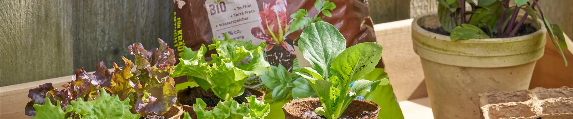 Anzuchterde kaufen_Patzer Erden.jpg