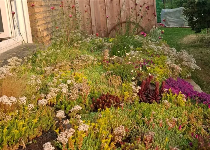 Dachbegrünung mit frux