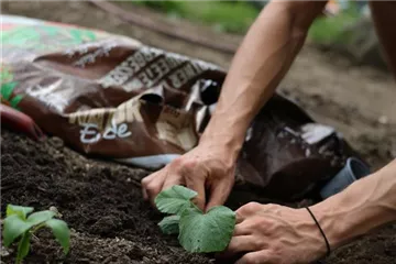 Hochwertige Erde erkennen