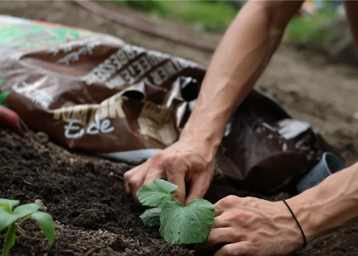 Hochwertige Erde erkennen
