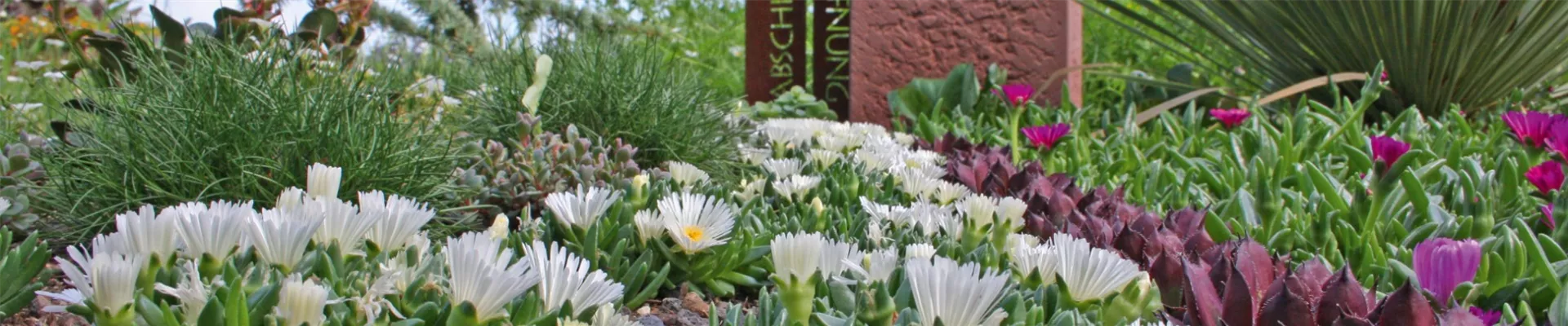 Grabbepflanzung2_Header