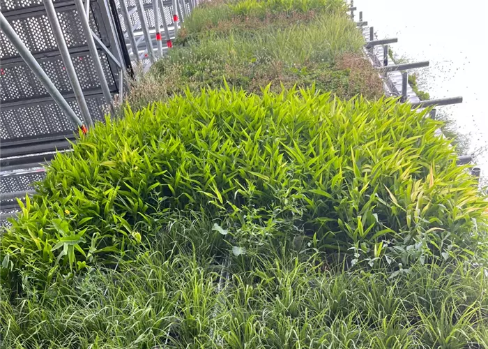 Erden und Mulchmaterialien für urbane Begrünung