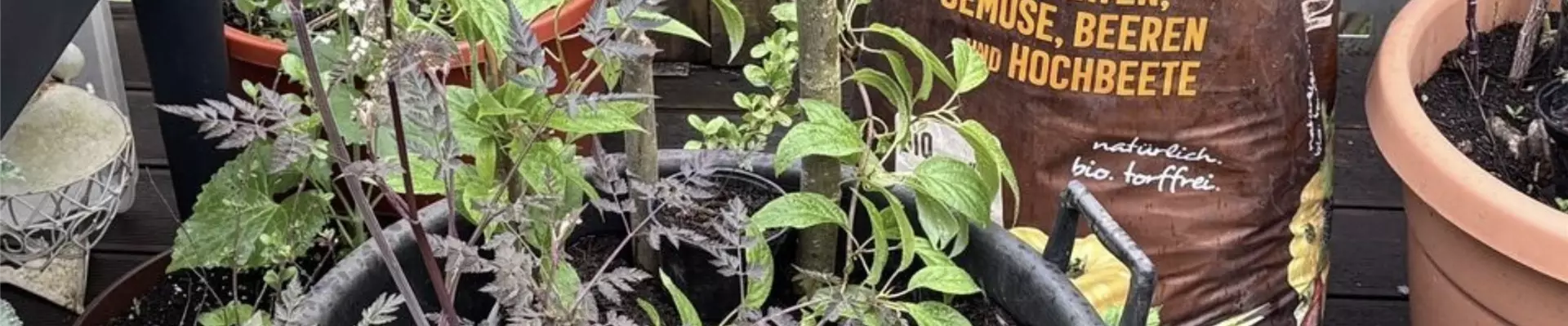 Mischkultur Balkongarten_Patzer Erden